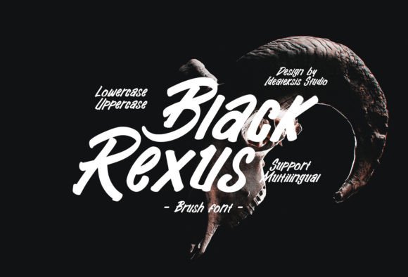 Discover the Bold Energy of Black Rexus Font