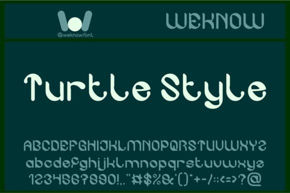 Turtle Style: Whimsical Elegance for Your Designs